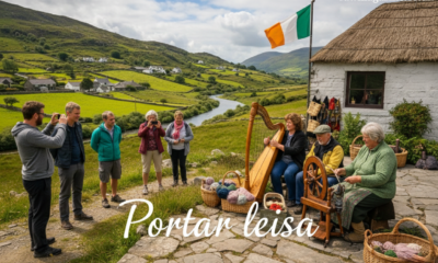 Portar leisa