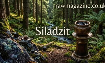 Siladzit
